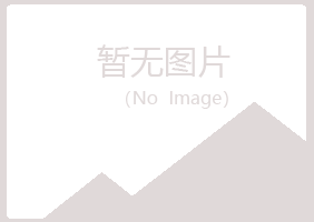 凉城县夏岚工程有限公司